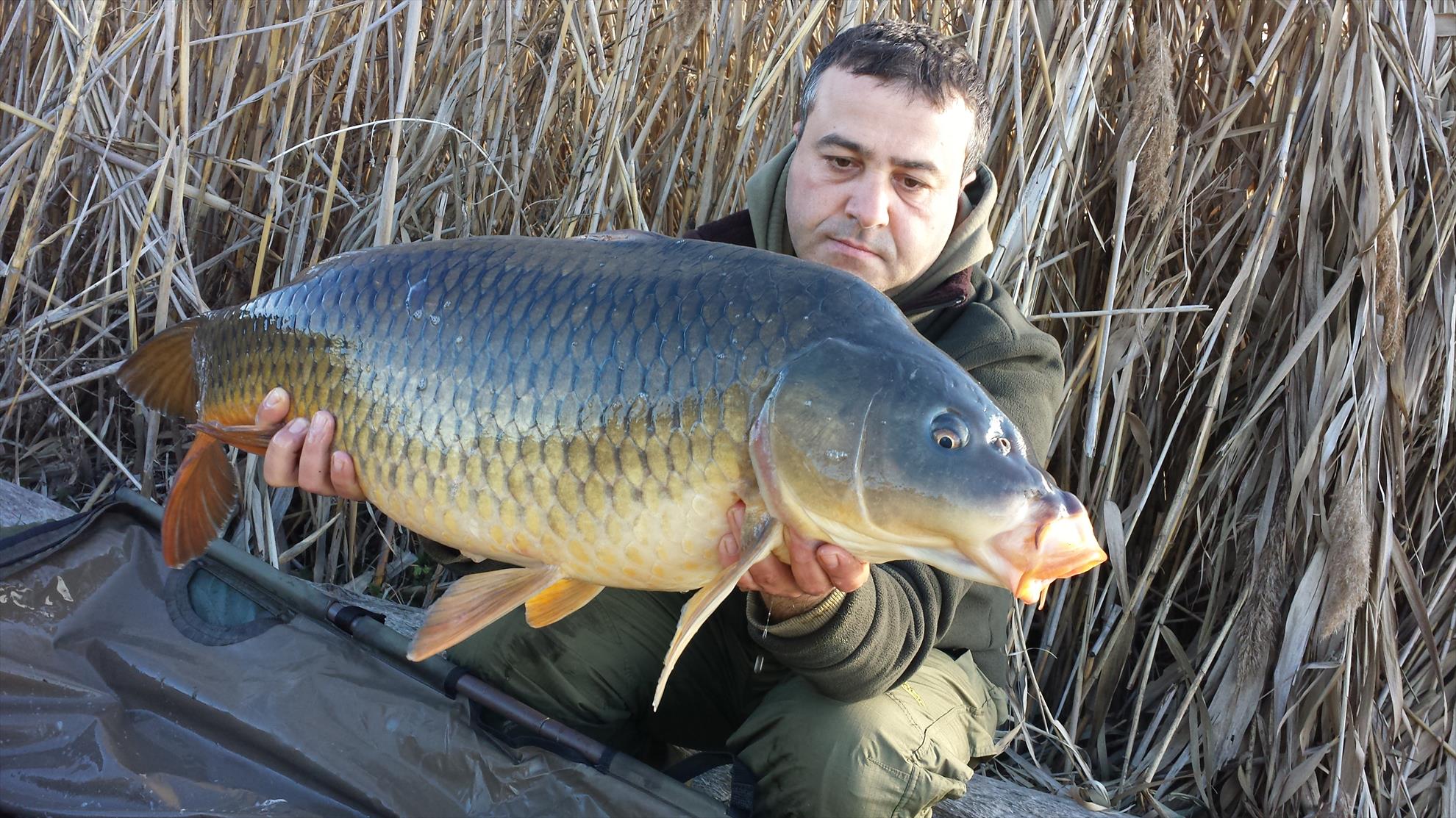 Tancabesti 14 - 16 mar. - 2014-03-16-0834071.jpg